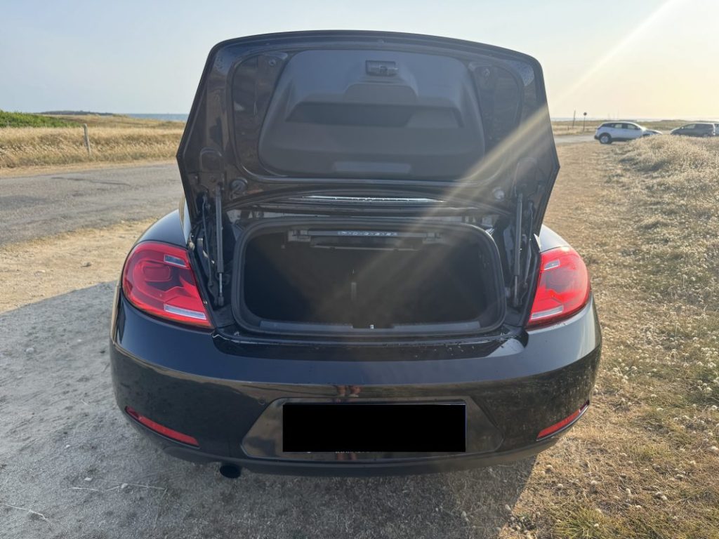 Volkswagen Coccinelle New Beetle